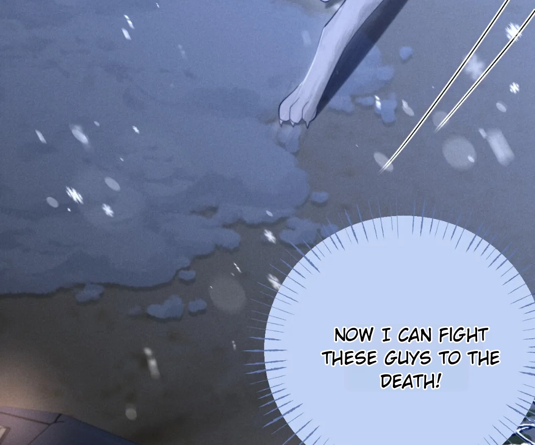 Toxic Adoration [Official] - Chapter 19 manhwa