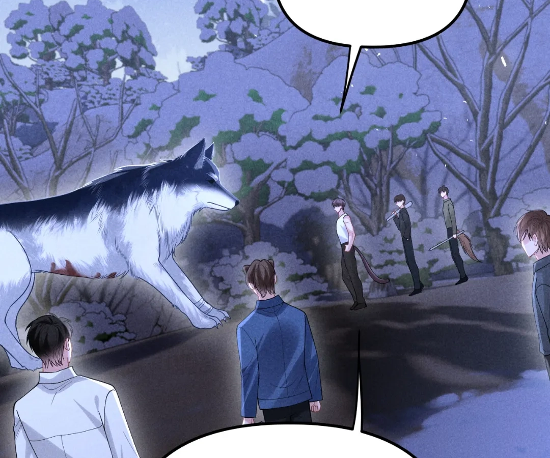 Toxic Adoration [Official] - Chapter 19 manhwa