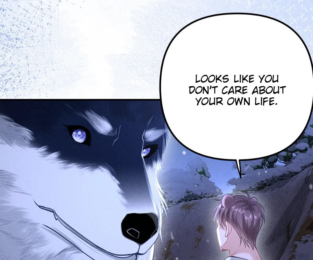 Toxic Adoration [Official] - Chapter 19 manhwa