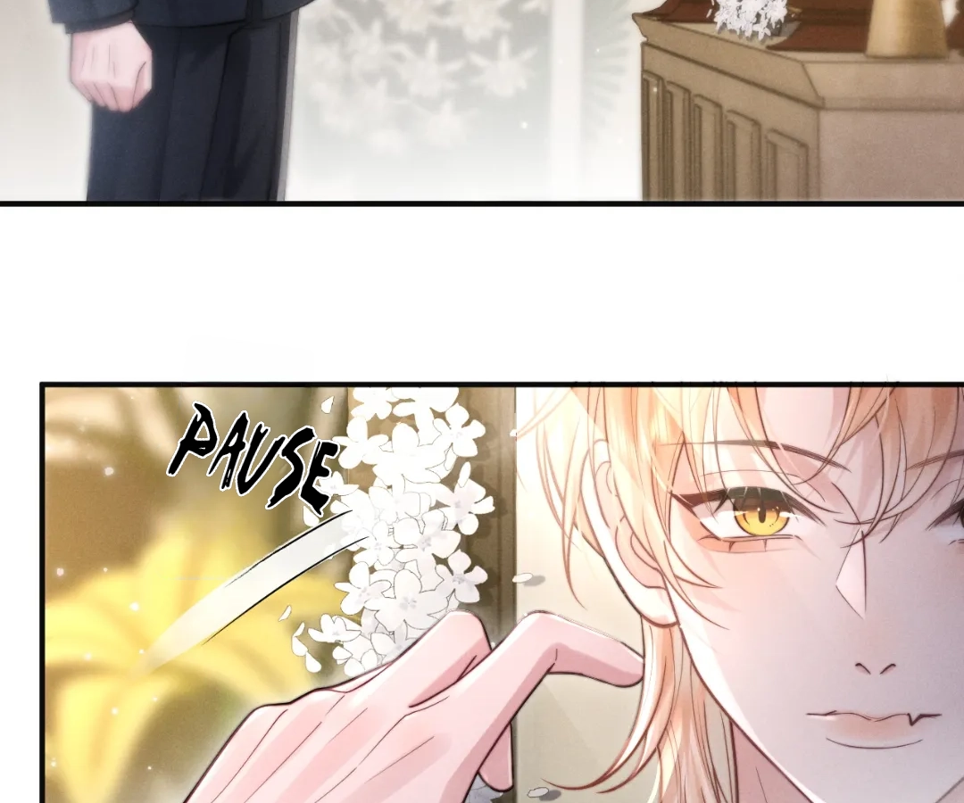 Toxic Adoration [Official] - Chapter 2 manhwa
