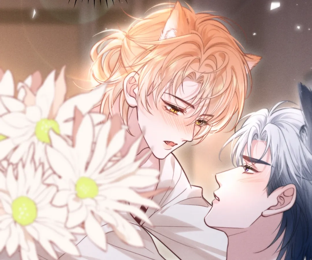 Toxic Adoration [Official] - Chapter 2 manhwa
