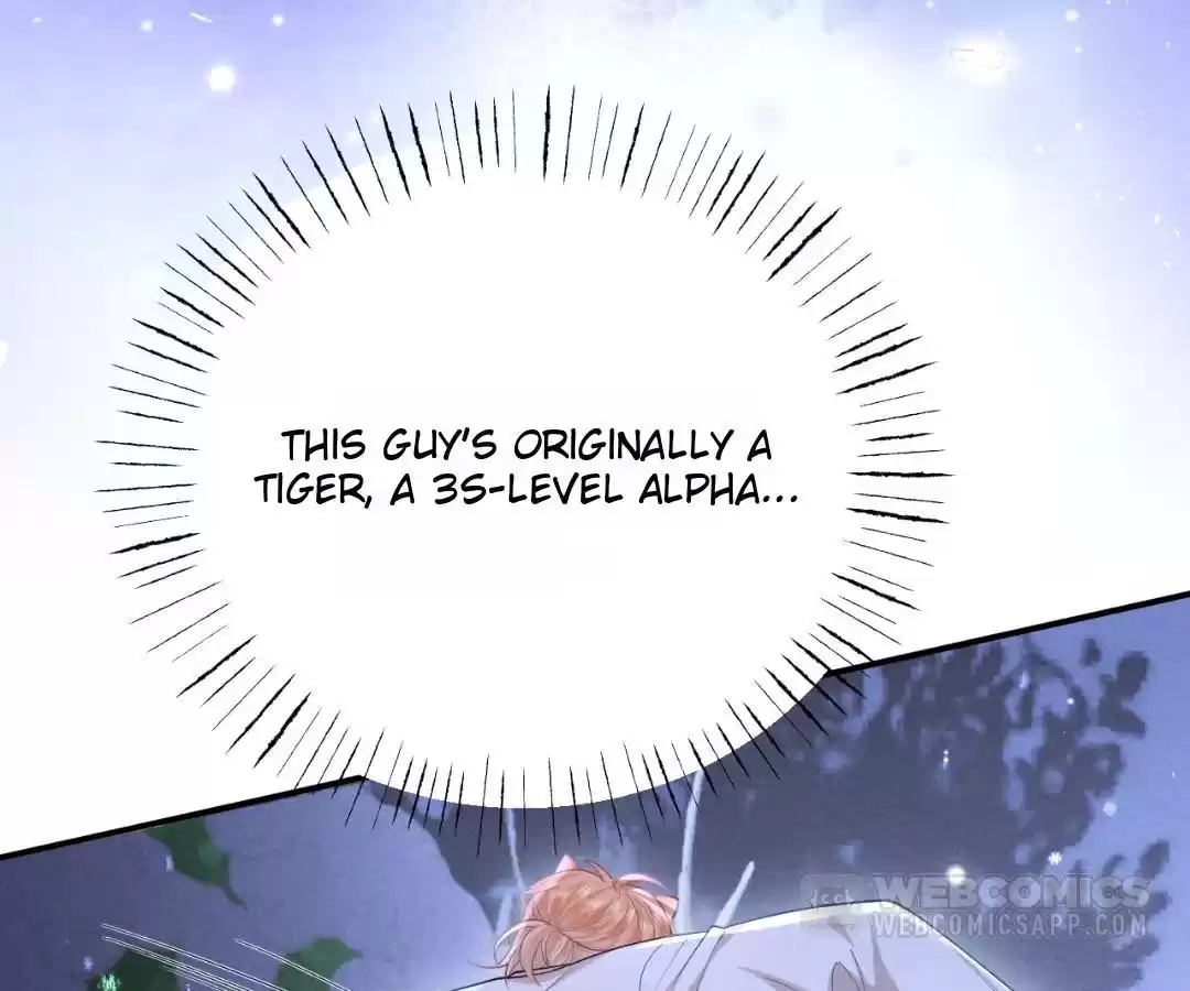 Toxic Adoration [Official] - Chapter 20 manhwa