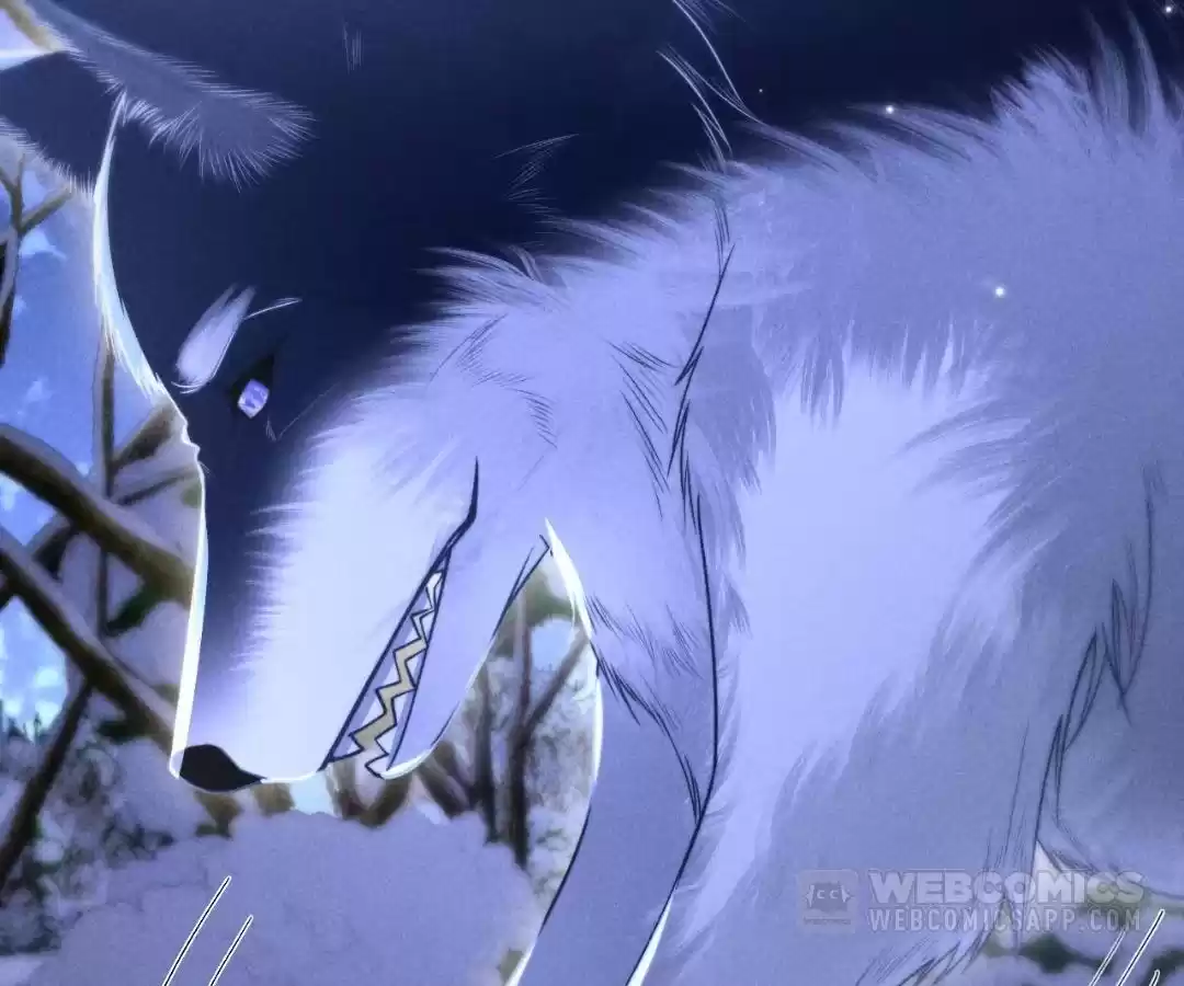 Toxic Adoration [Official] - Chapter 21 manhwa