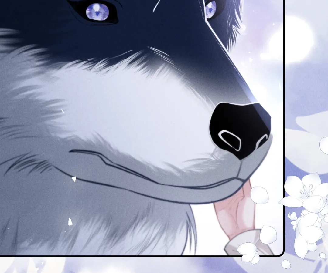Toxic Adoration [Official] - Chapter 22 manhwa