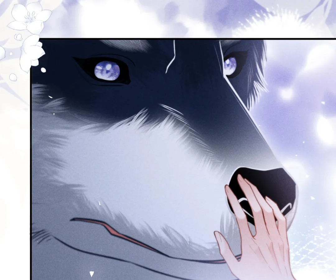 Toxic Adoration [Official] - Chapter 22 manhwa