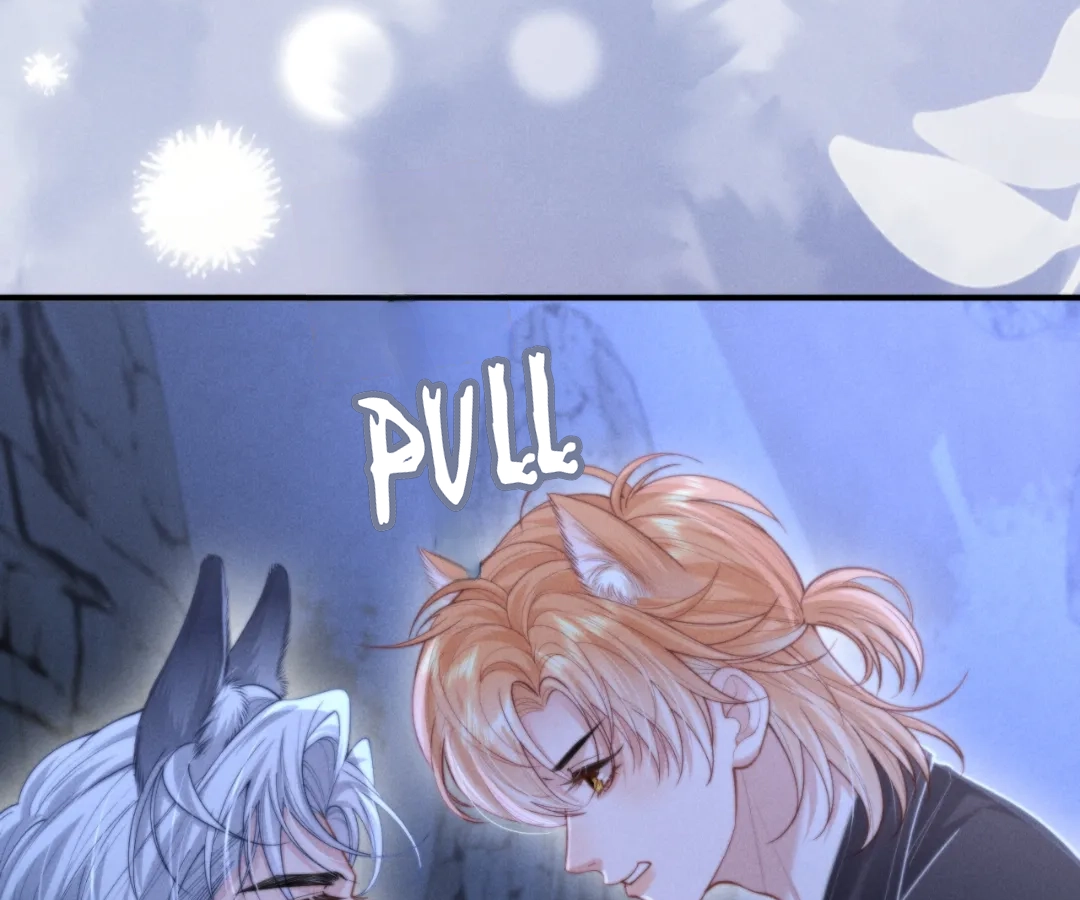 Toxic Adoration [Official] - Chapter 23 manhwa