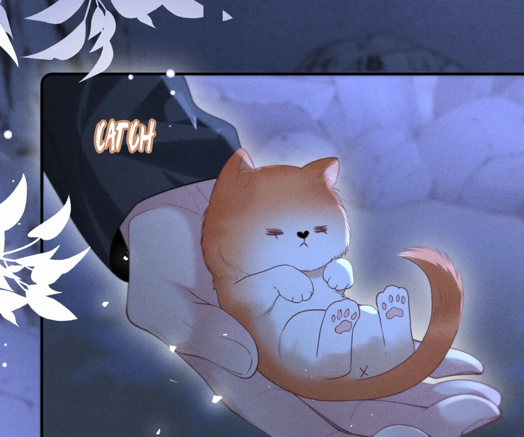 Toxic Adoration [Official] - Chapter 24 manhwa