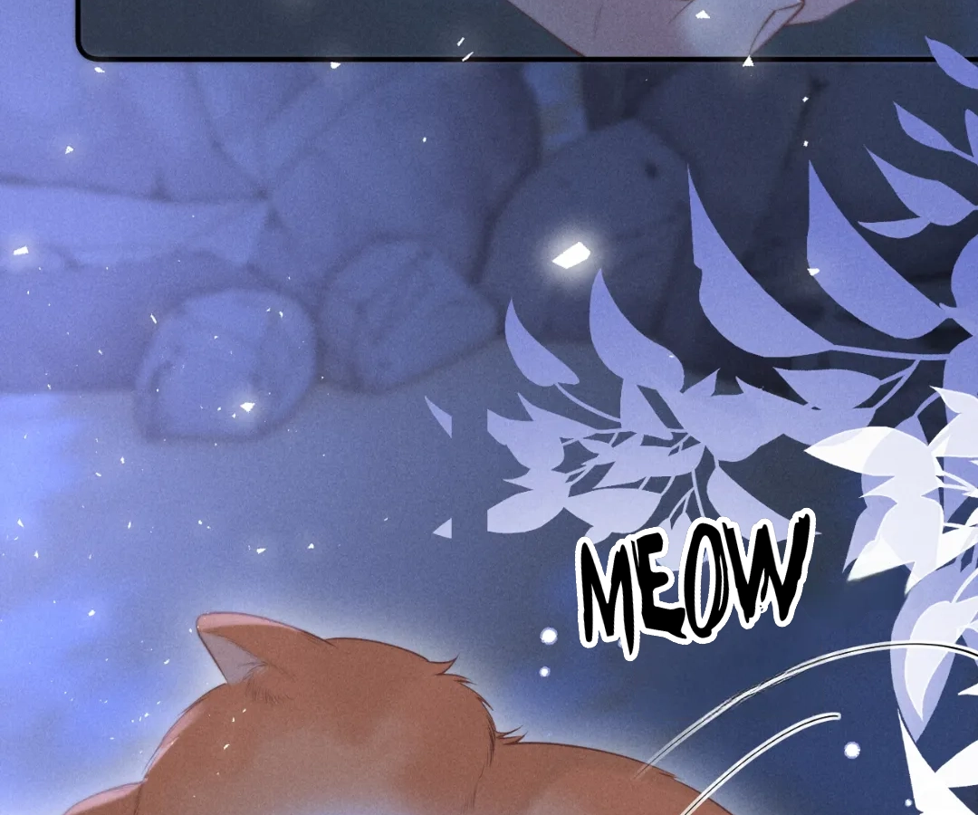 Toxic Adoration [Official] - Chapter 24 manhwa