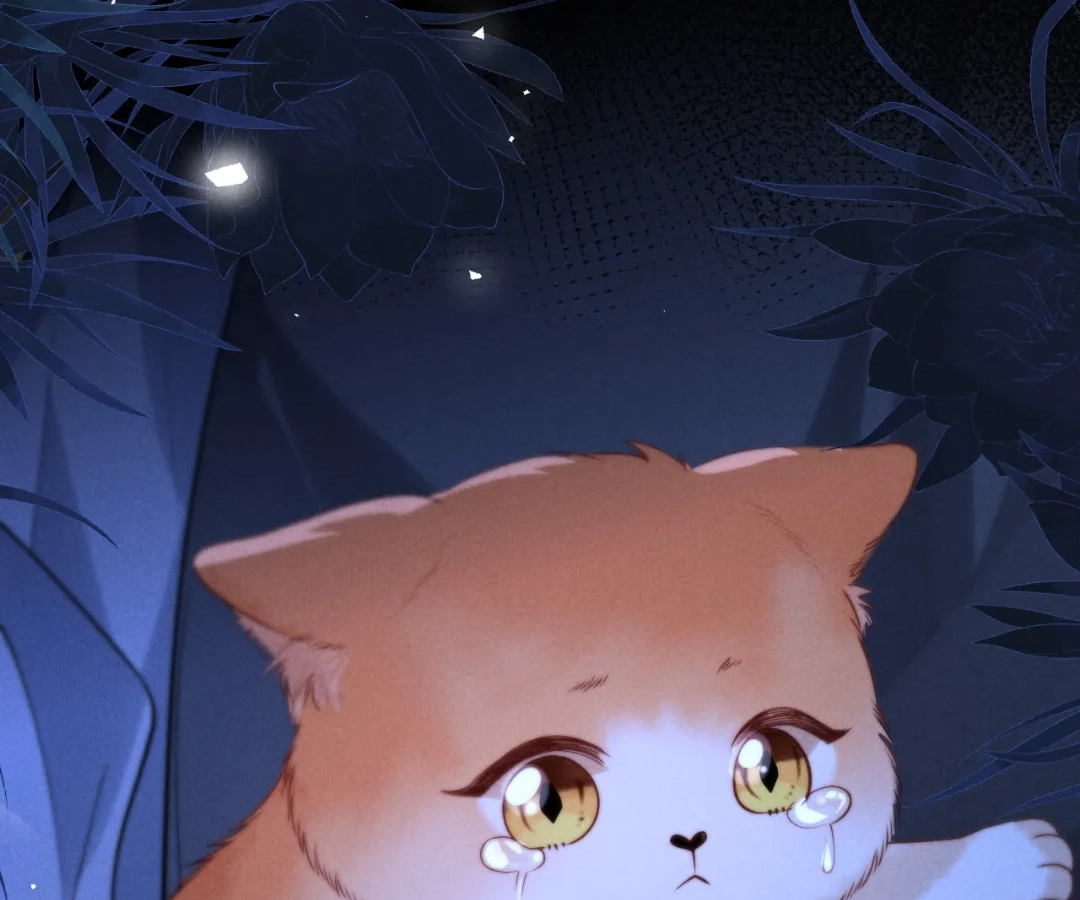 Toxic Adoration [Official] - Chapter 24 manhwa