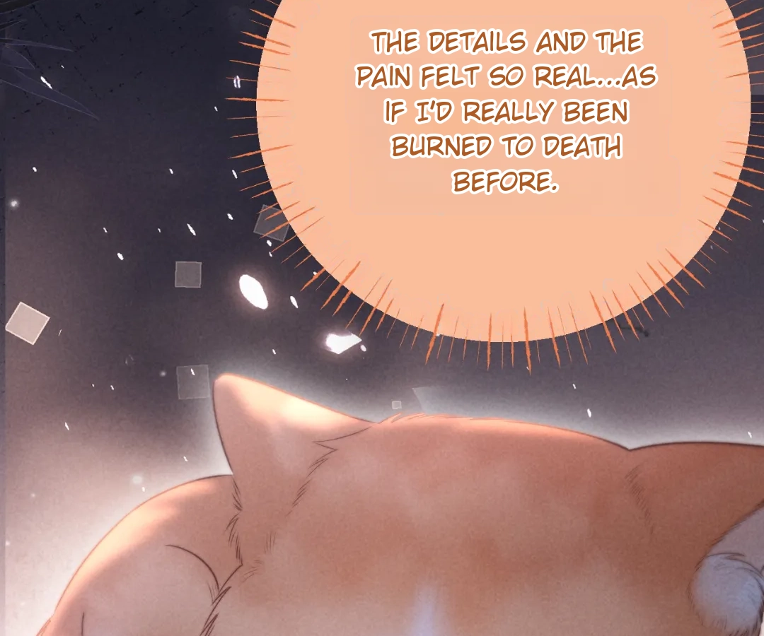 Toxic Adoration [Official] - Chapter 24 manhwa
