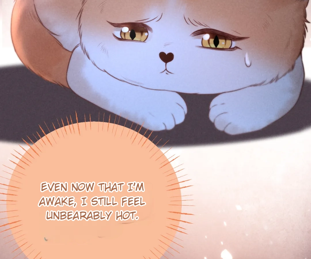 Toxic Adoration [Official] - Chapter 24 manhwa