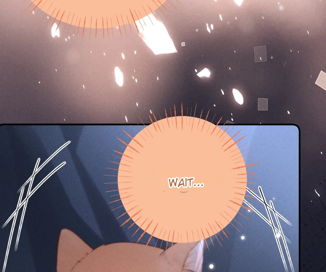 Toxic Adoration [Official] - Chapter 24 manhwa