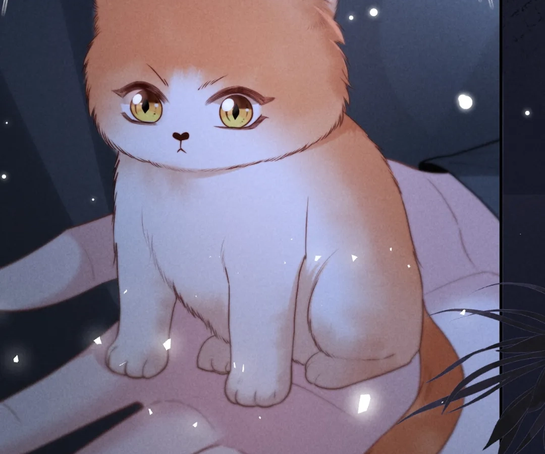 Toxic Adoration [Official] - Chapter 24 manhwa