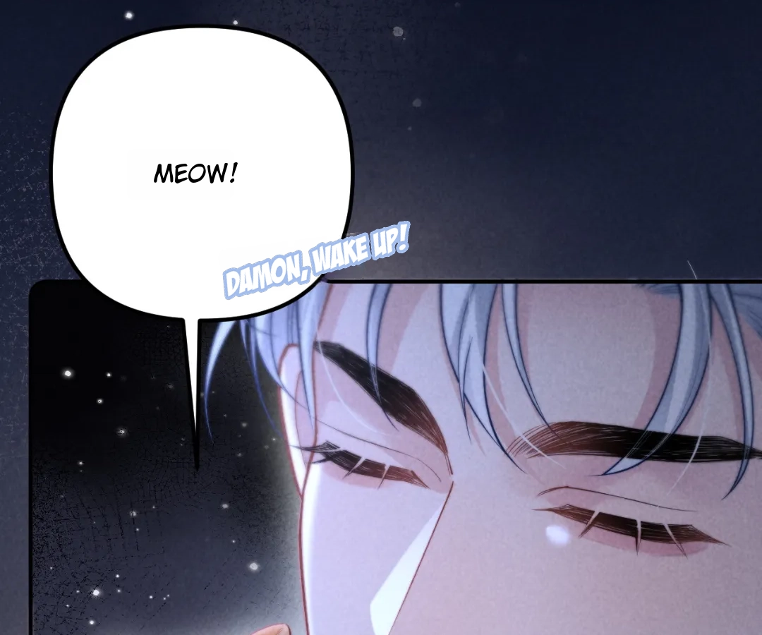 Toxic Adoration [Official] - Chapter 24 manhwa