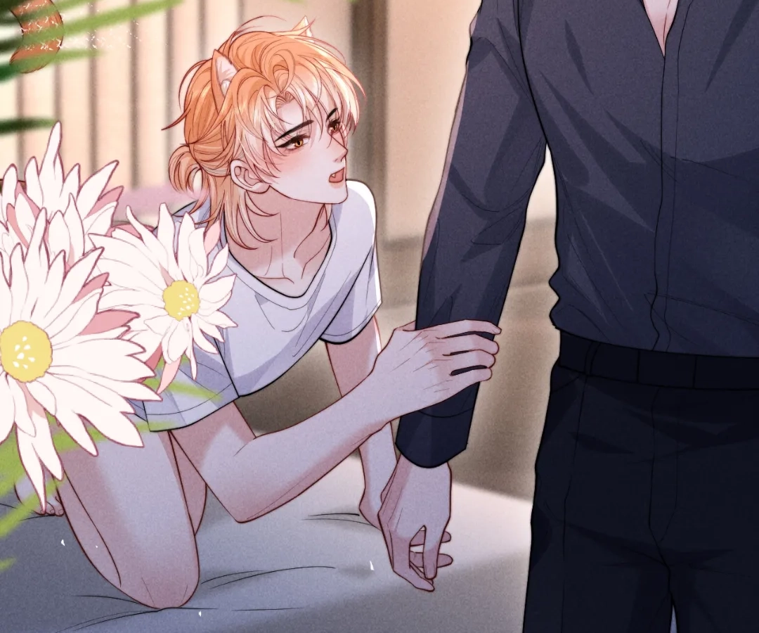 Toxic Adoration [Official] - Chapter 25 manhwa