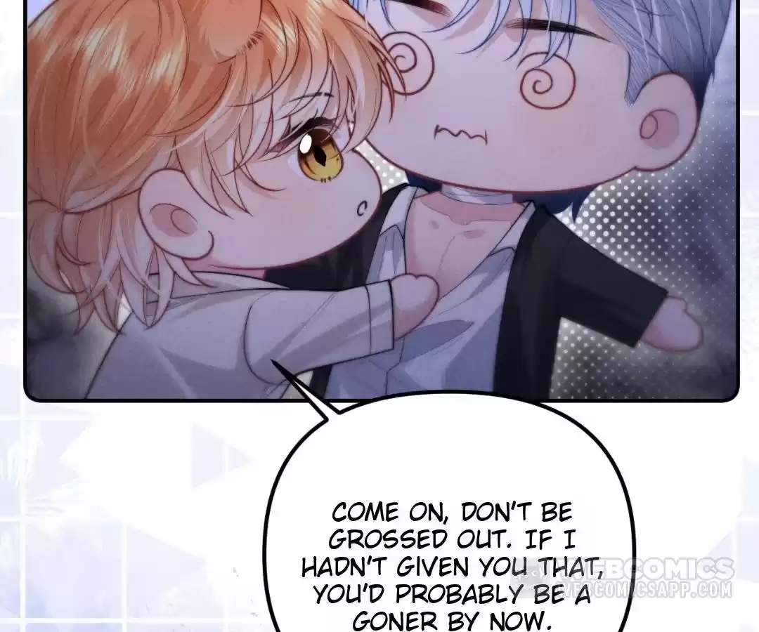 Toxic Adoration [Official] - Chapter 25 manhwa