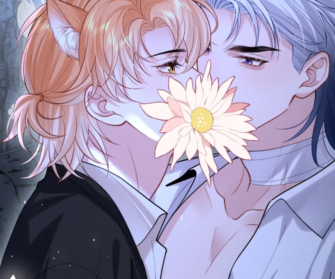 Toxic Adoration [Official] - Chapter 26 manhwa