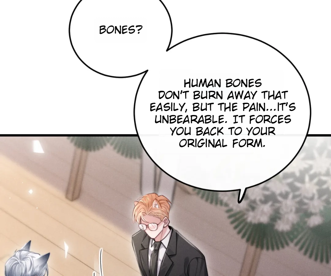 Toxic Adoration [Official] - Chapter 3 manhwa