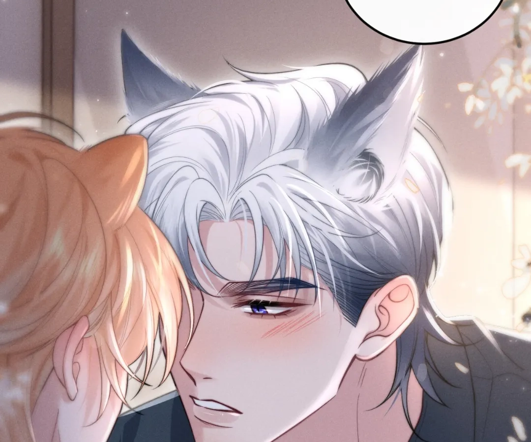 Toxic Adoration [Official] - Chapter 3 manhwa