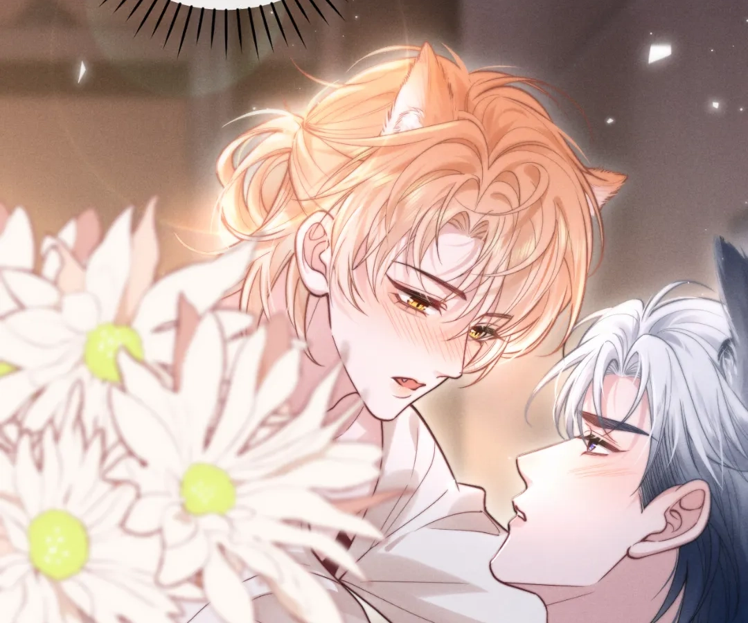 Toxic Adoration [Official] - Chapter 3 manhwa