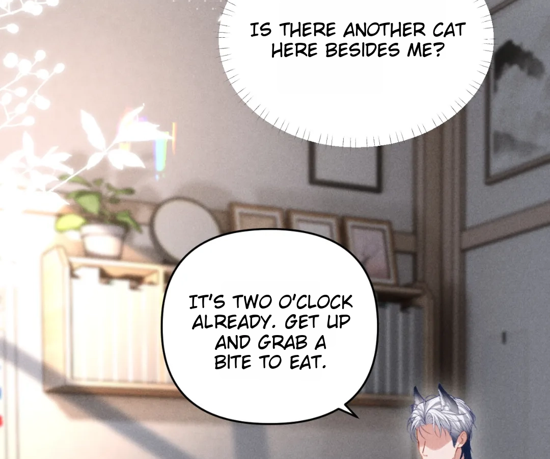 Toxic Adoration [Official] - Chapter 31 manhwa