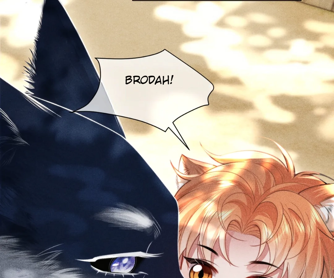 Toxic Adoration [Official] - Chapter 34 manhwa