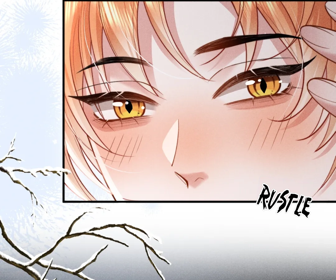 Toxic Adoration [Official] - Chapter 35 manhwa