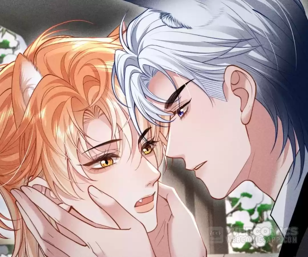 Toxic Adoration [Official] - Chapter 35 manhwa