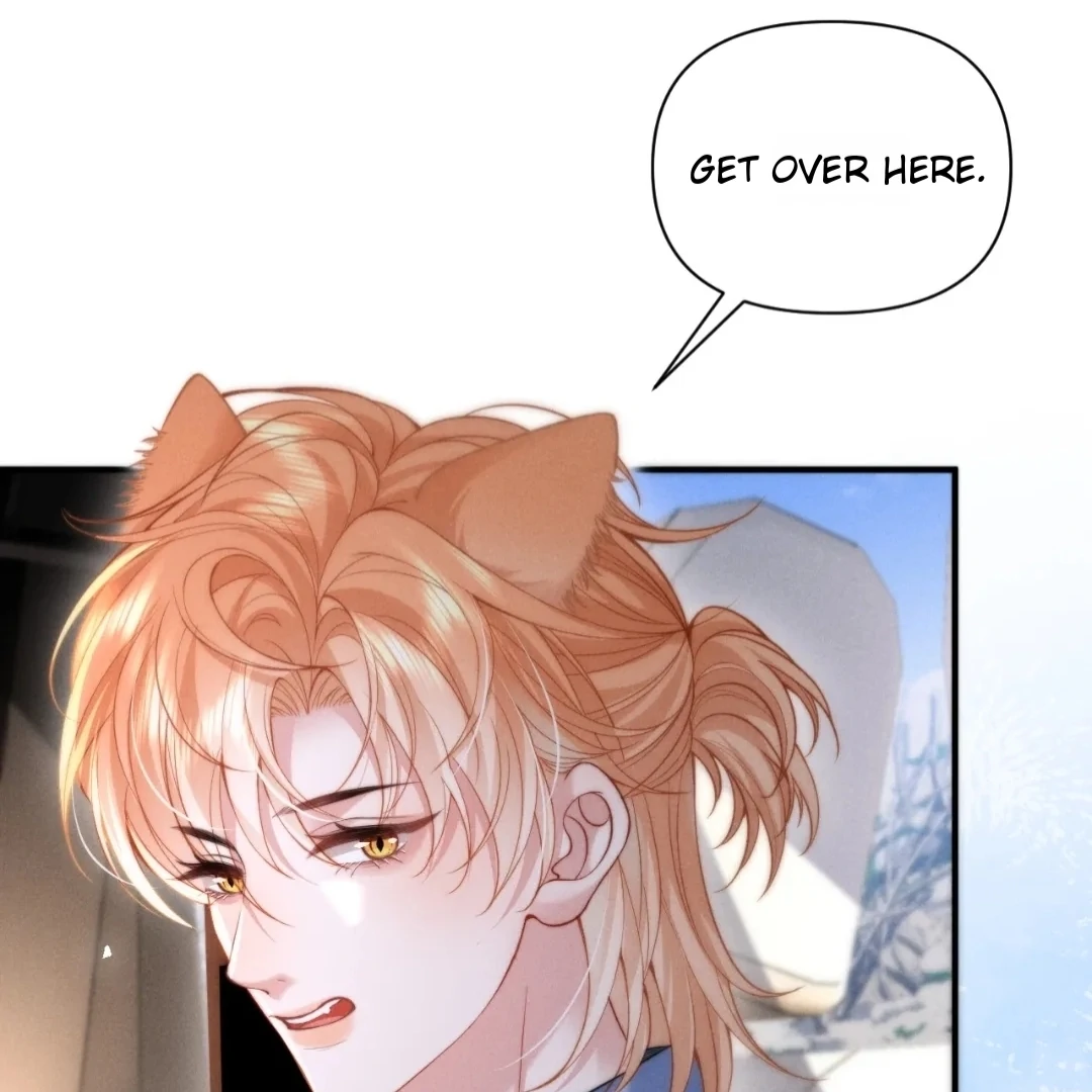 Toxic Adoration [Official] - Chapter 36 manhwa