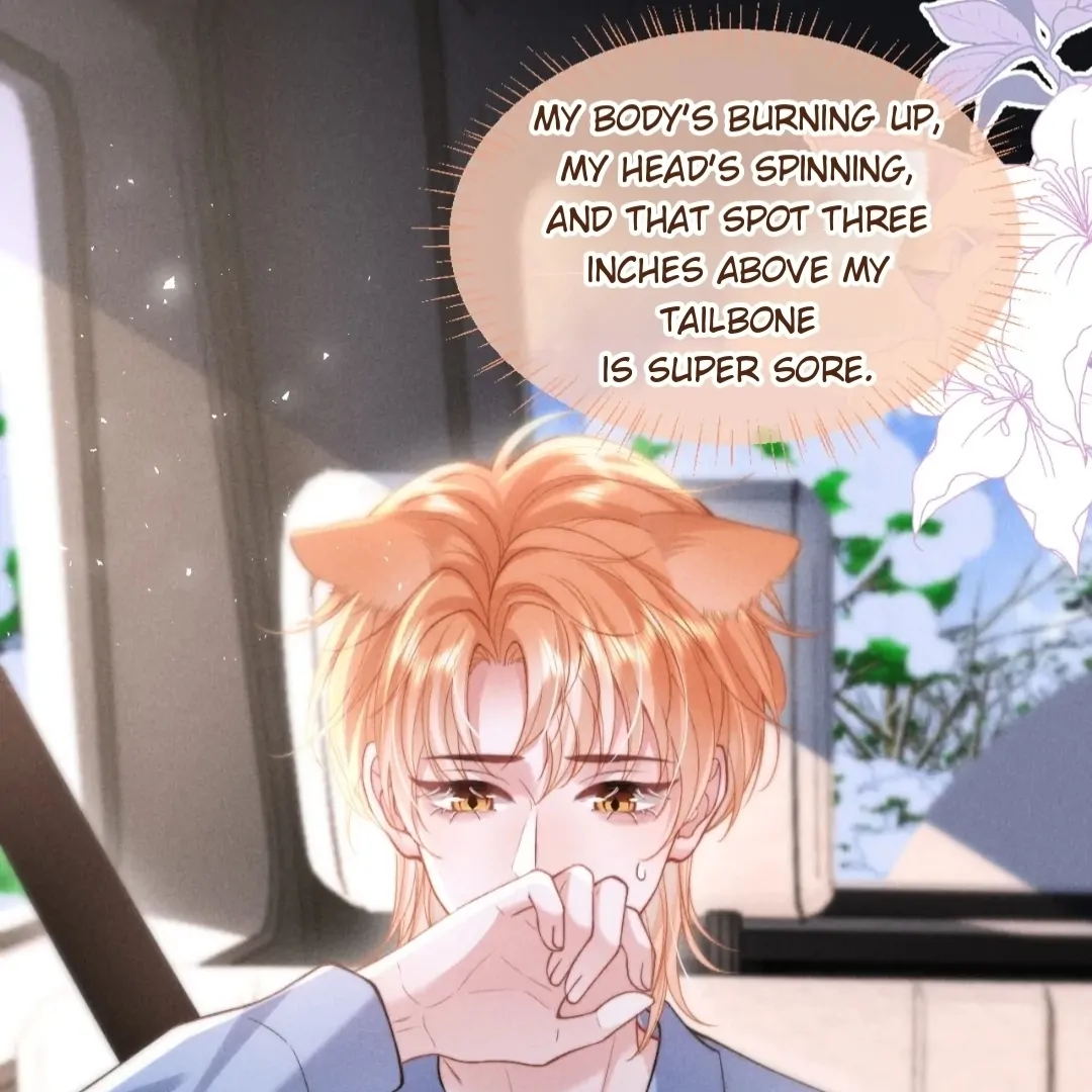 Toxic Adoration [Official] - Chapter 36 manhwa