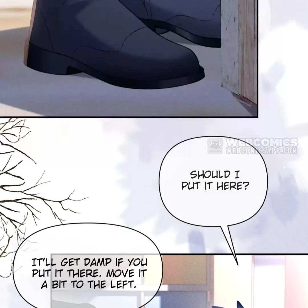 Toxic Adoration [Official] - Chapter 37 manhwa