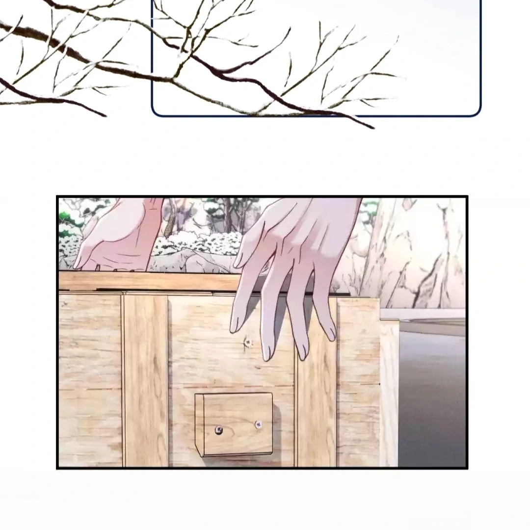 Toxic Adoration [Official] - Chapter 37 manhwa