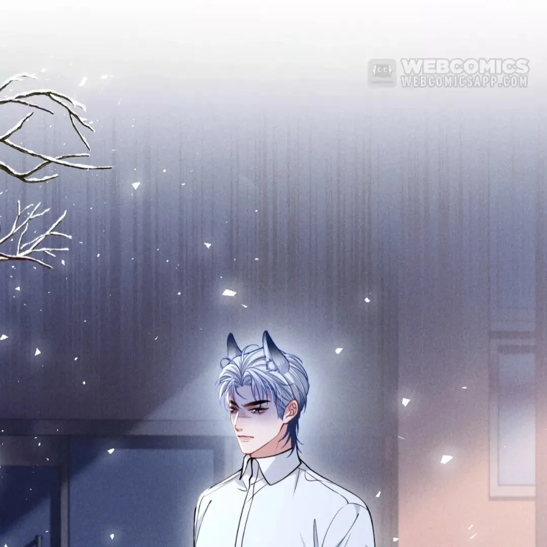 Toxic Adoration [Official] - Chapter 37 manhwa