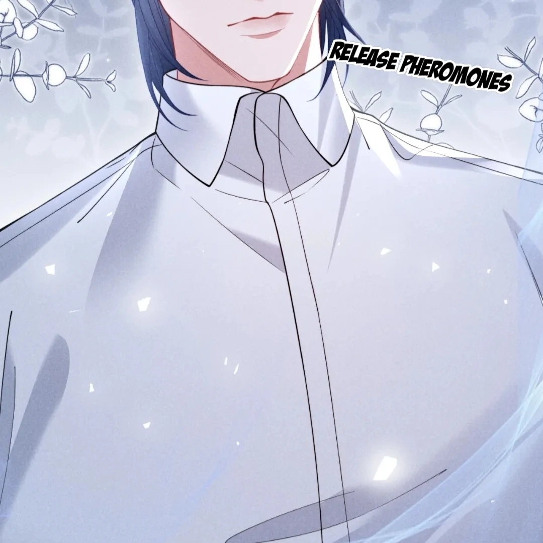 Toxic Adoration [Official] - Chapter 37 manhwa