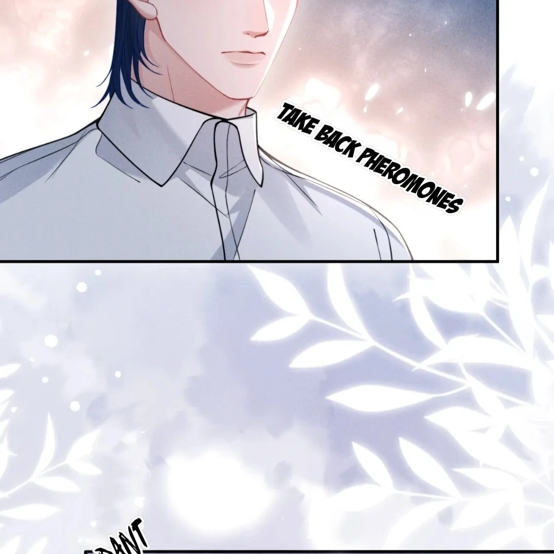 Toxic Adoration [Official] - Chapter 37 manhwa