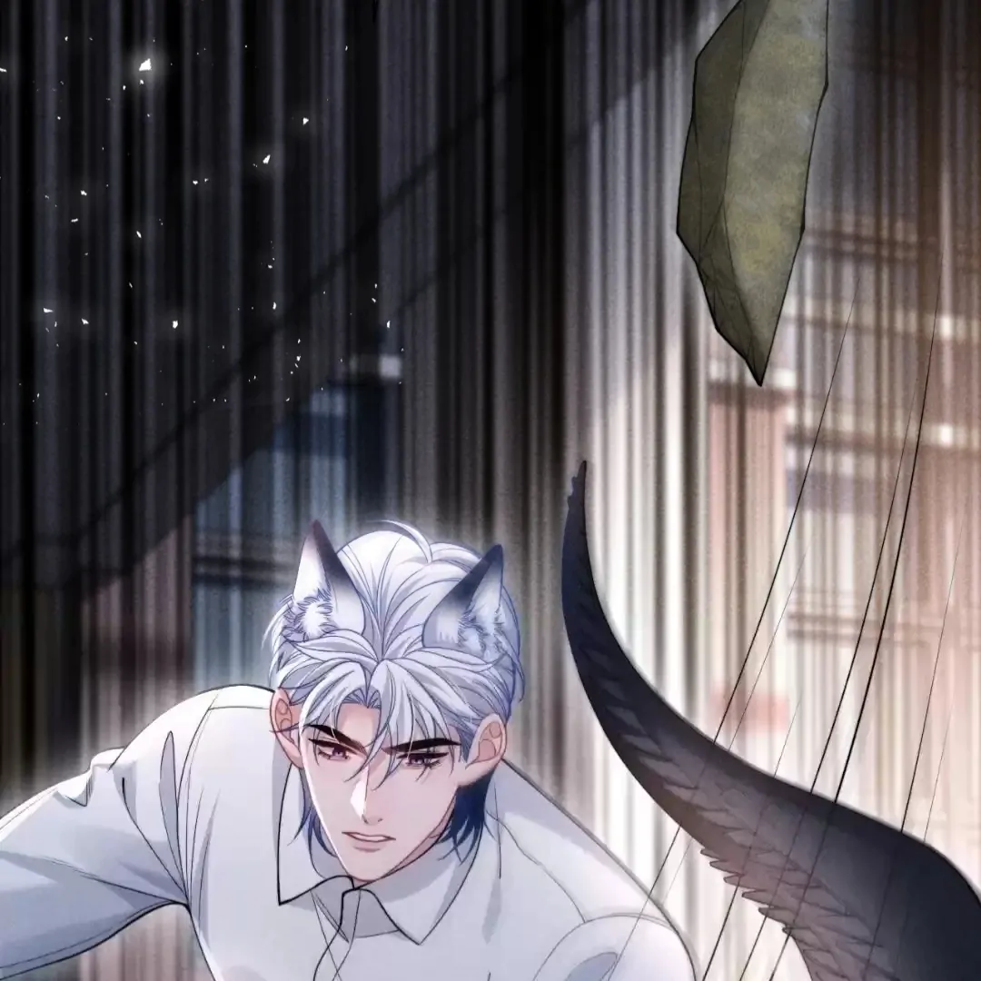 Toxic Adoration [Official] - Chapter 37 manhwa