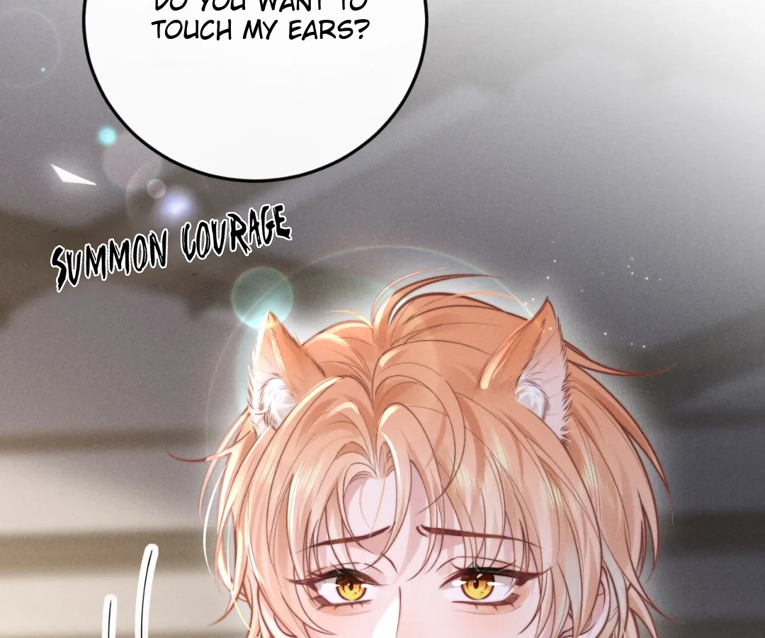 Toxic Adoration [Official] - Chapter 4 manhwa