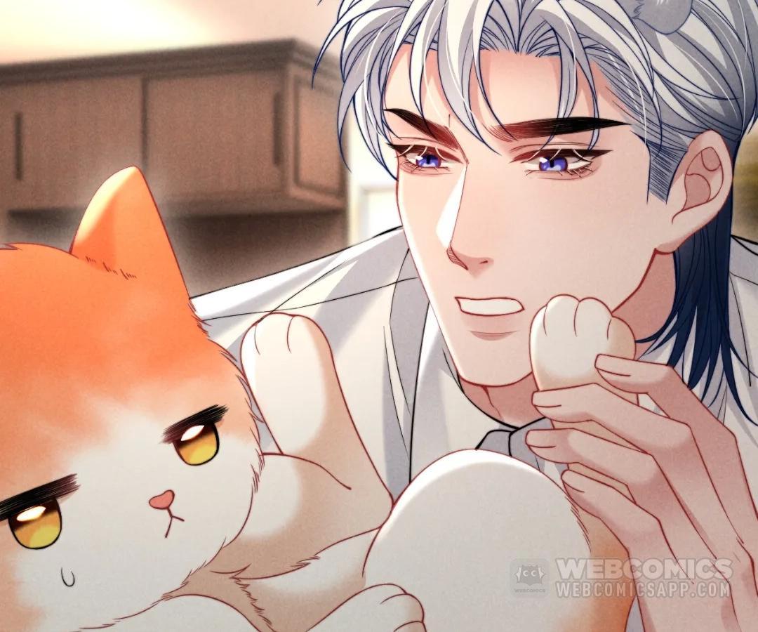 Toxic Adoration [Official] - Chapter 40 manhwa