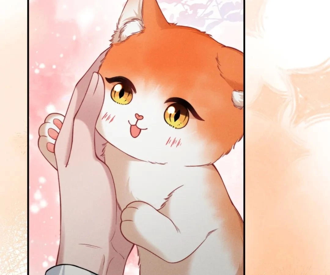 Toxic Adoration [Official] - Chapter 40 manhwa