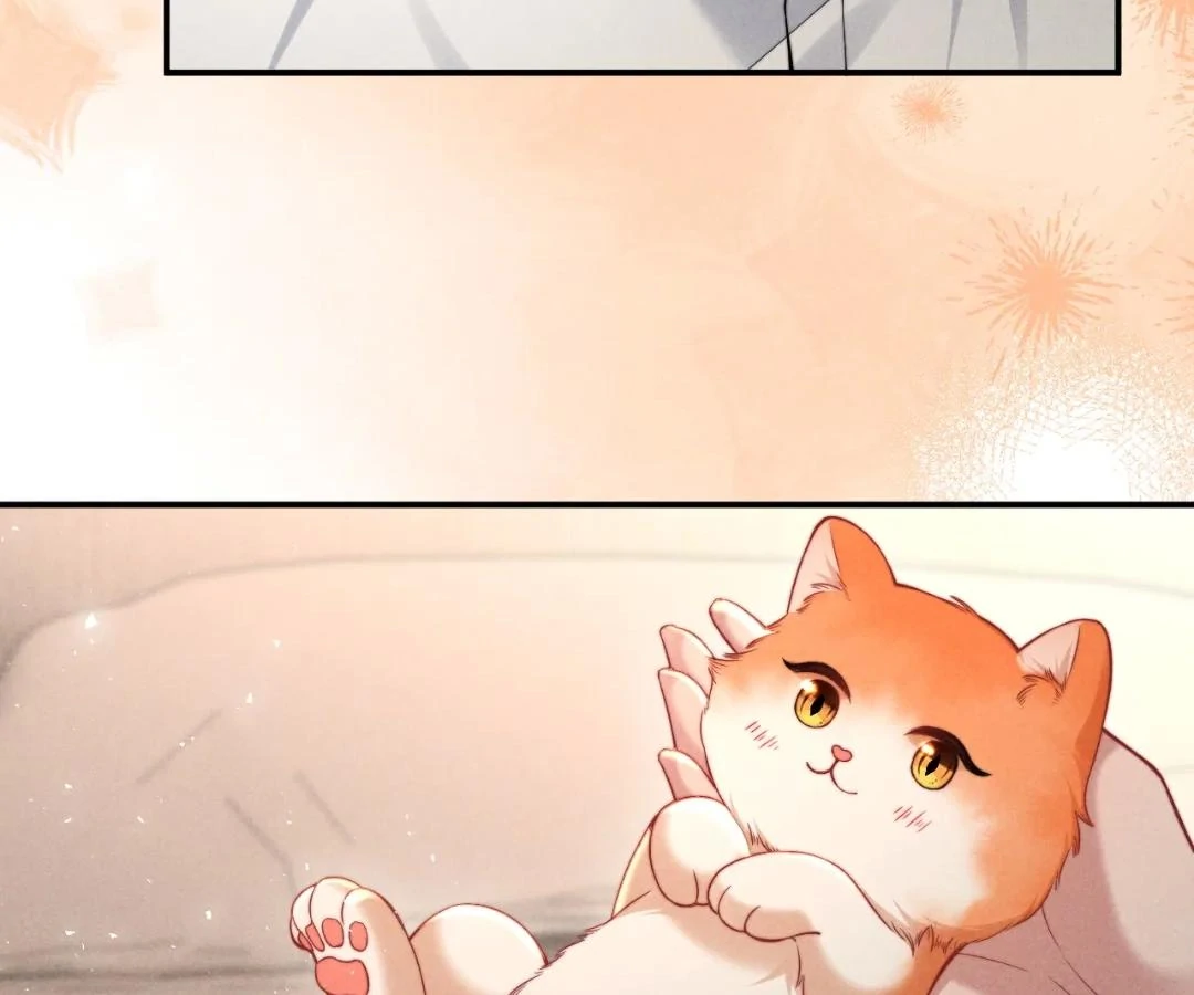Toxic Adoration [Official] - Chapter 40 manhwa