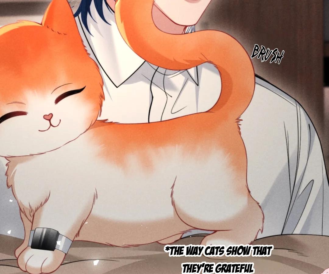 Toxic Adoration [Official] - Chapter 40 manhwa