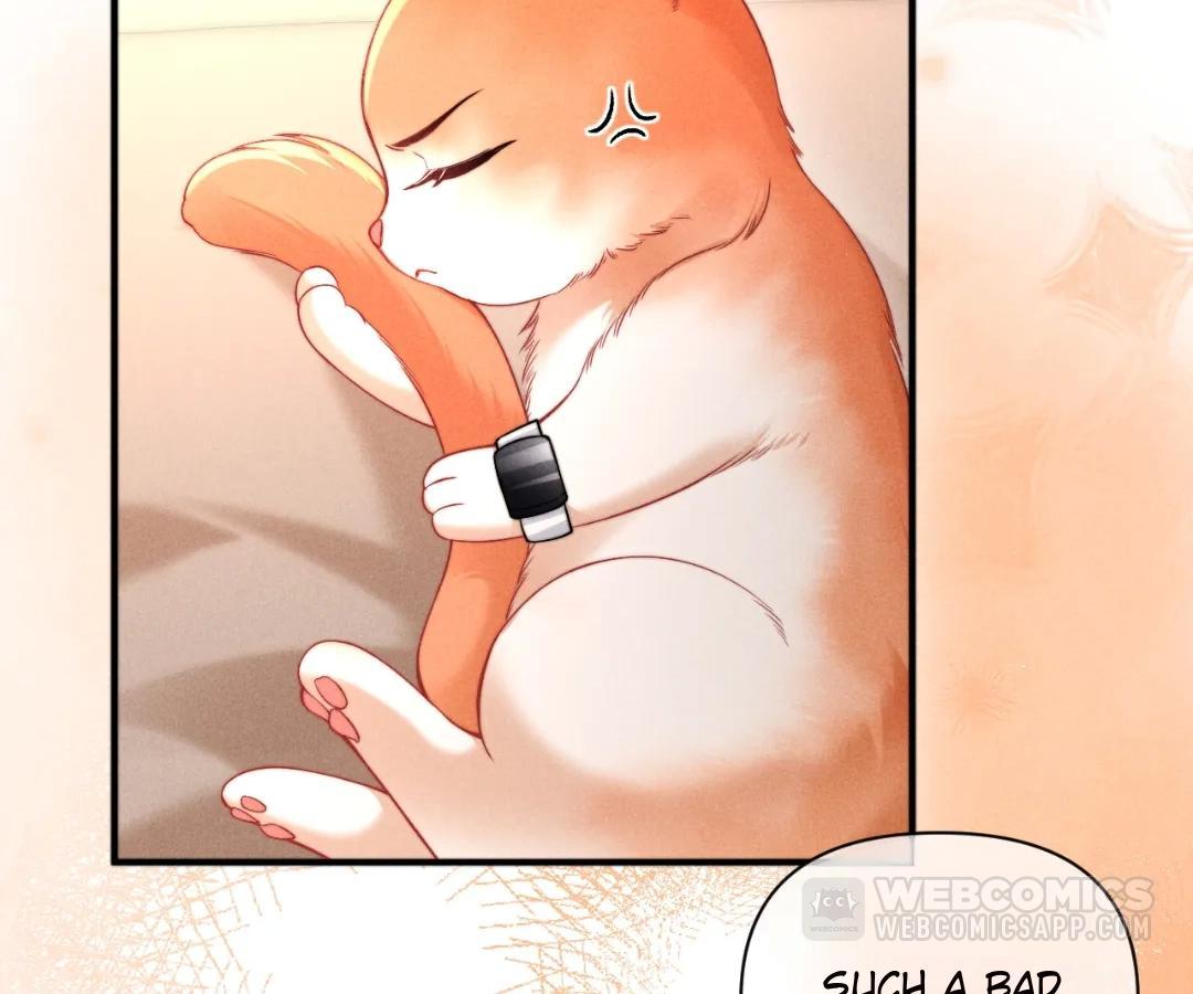 Toxic Adoration [Official] - Chapter 40 manhwa