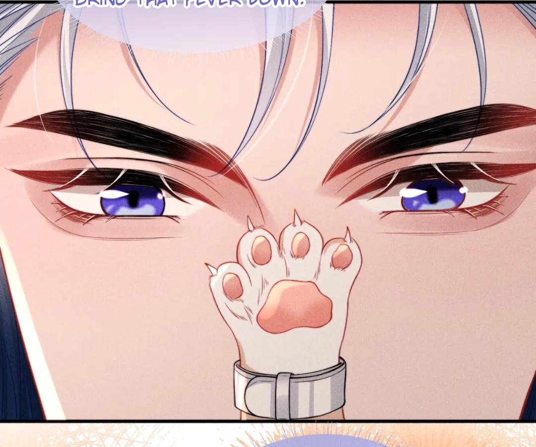 Toxic Adoration [Official] - Chapter 40 manhwa