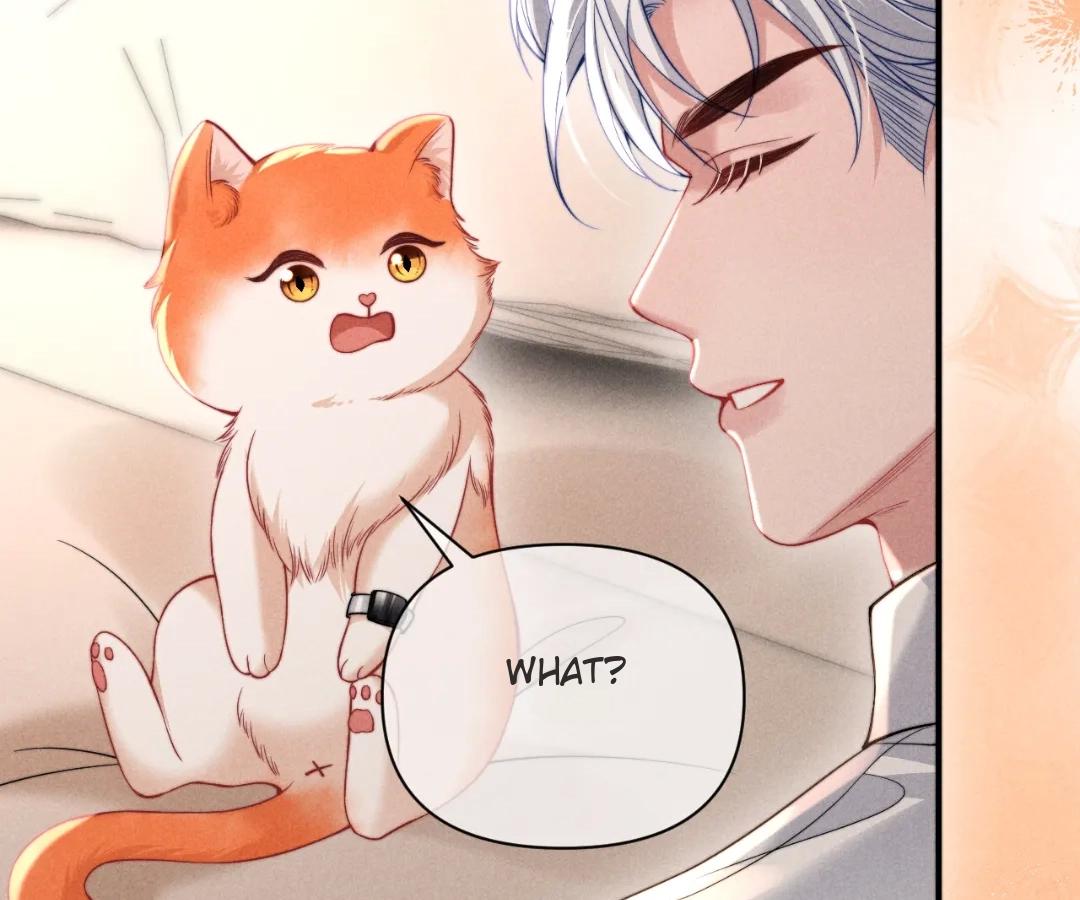 Toxic Adoration [Official] - Chapter 40 manhwa