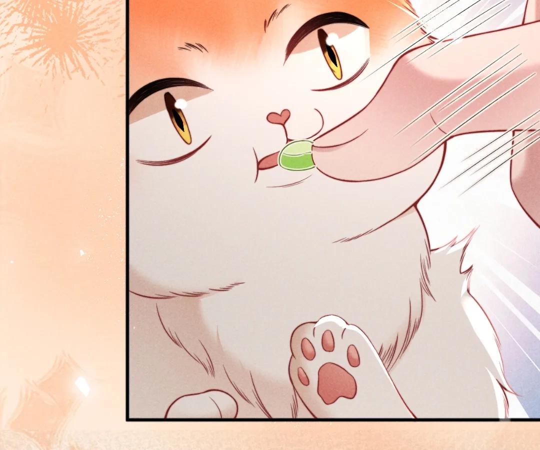 Toxic Adoration [Official] - Chapter 40 manhwa