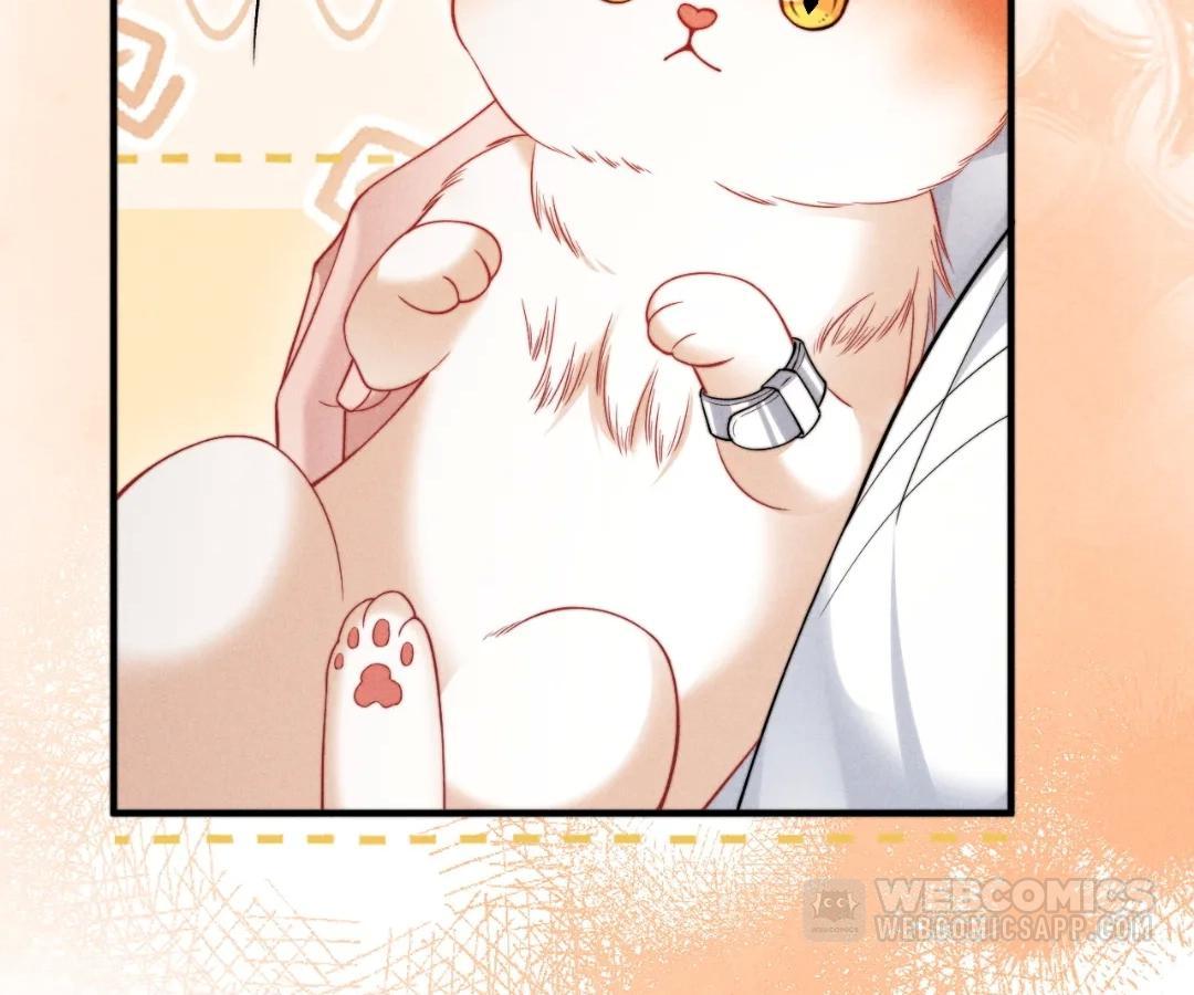 Toxic Adoration [Official] - Chapter 40 manhwa
