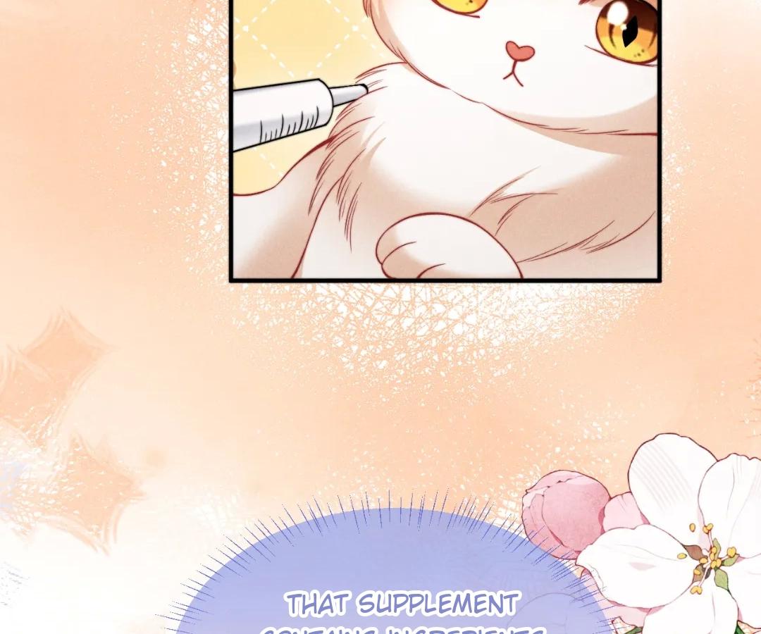 Toxic Adoration [Official] - Chapter 40 manhwa