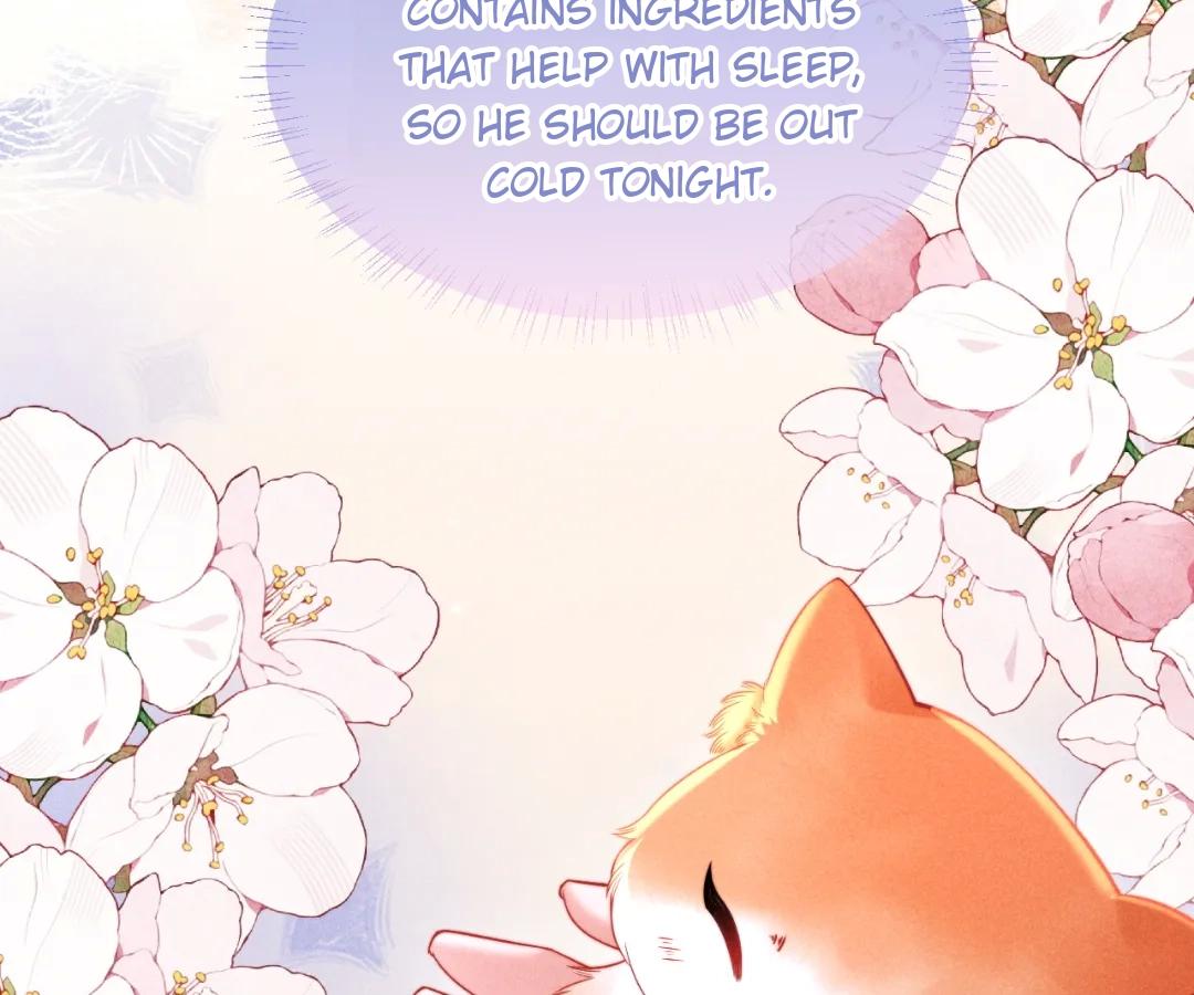Toxic Adoration [Official] - Chapter 40 manhwa