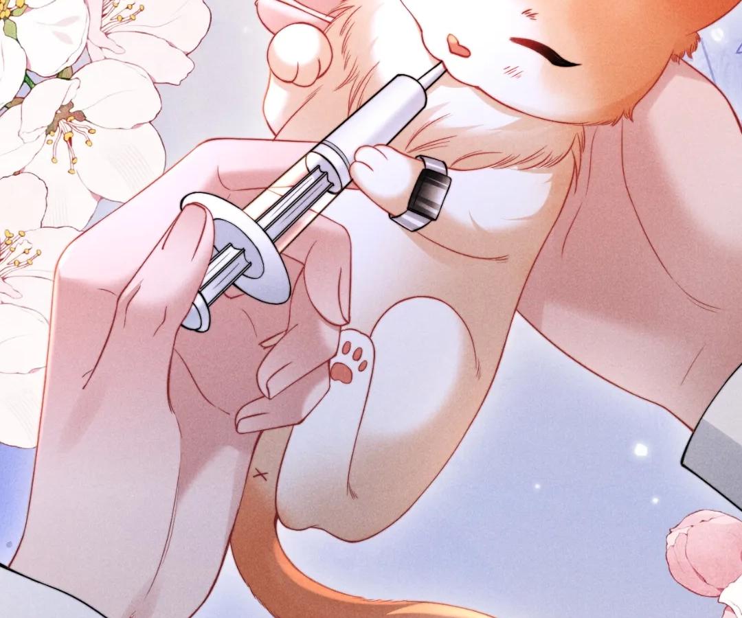 Toxic Adoration [Official] - Chapter 40 manhwa