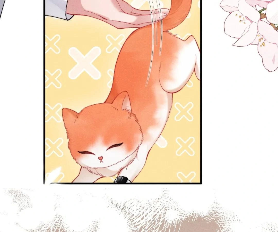 Toxic Adoration [Official] - Chapter 40 manhwa